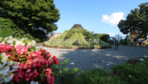 travelhakone