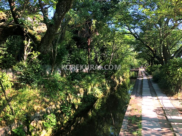 法然院 哲学の道