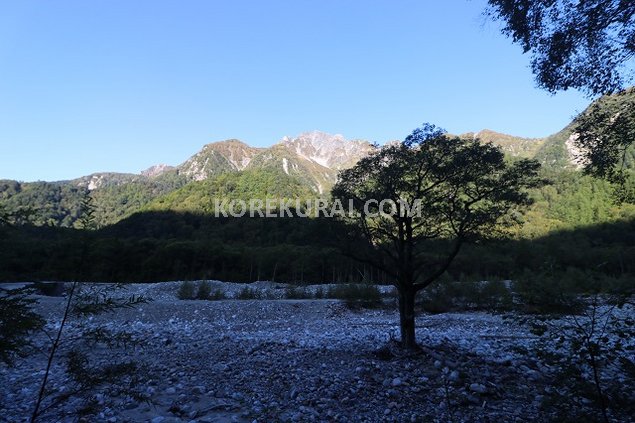 上高地 横尾付近 登山道