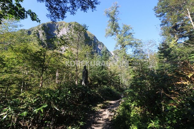 上高地 横尾 登山道 景色