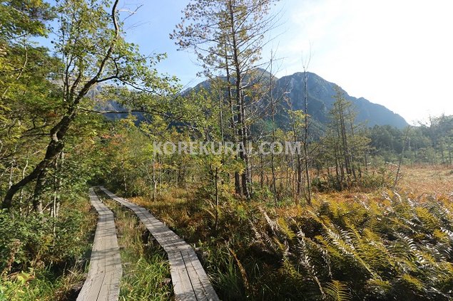 上高地 岳沢方面 散策エリア