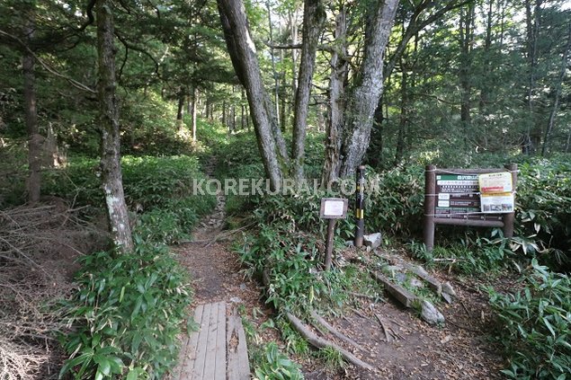 上高地 岳沢登山口