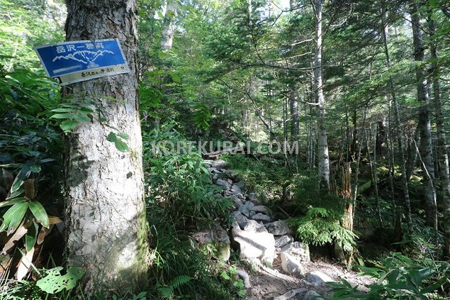 上高地 岳沢登山道