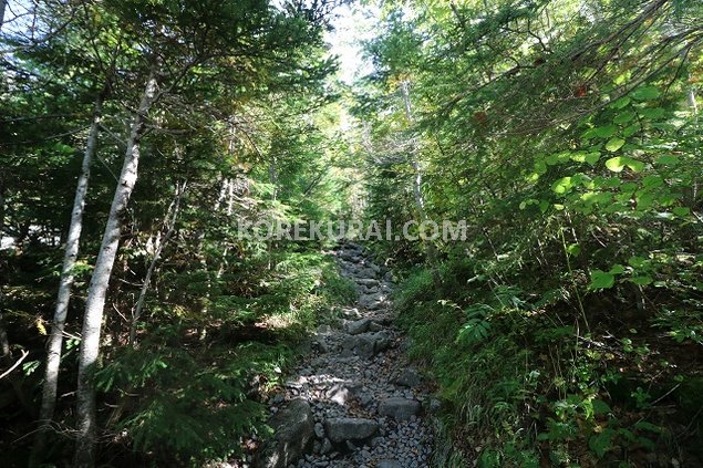 岳沢小屋までの登山道