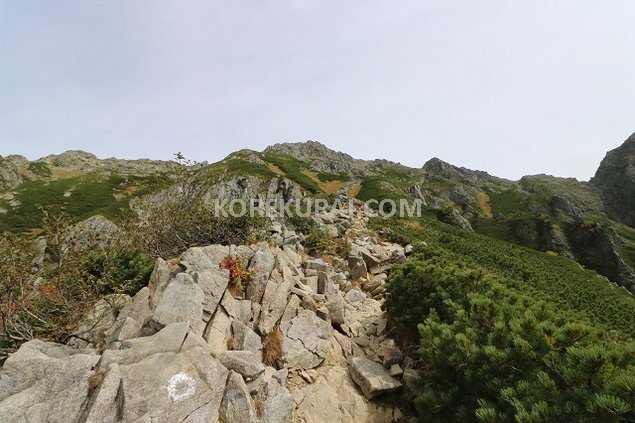 岳沢パノラマから見た前穂高岳