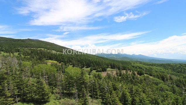 北八ヶ岳ロープウェイからの風景