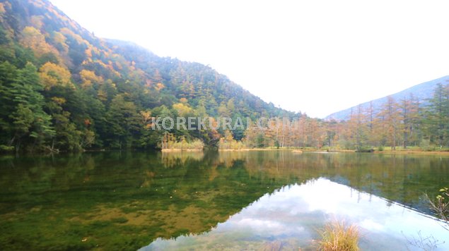 明神池前の鳥居