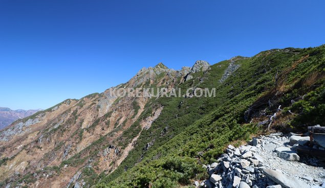 西穂高岳 丸山 登山道