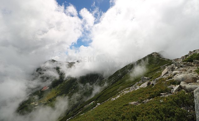 伊那前岳 登山道 帰り