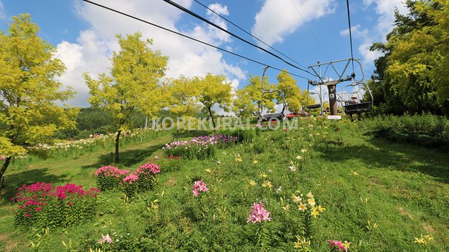 白樺リゾート池の平ファミリーランド リフト景色