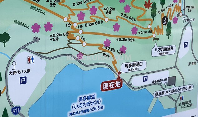 奥多摩湖 展望台 地図