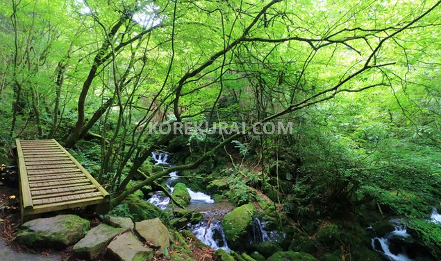 大滝 登山道