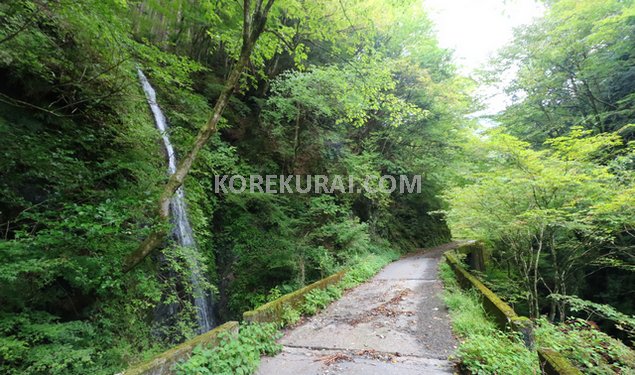 奥多摩駅から海沢園地までのルート