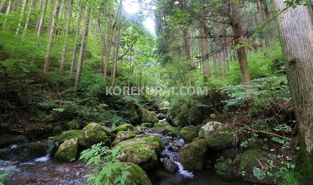 千足のバス停～天狗滝まで