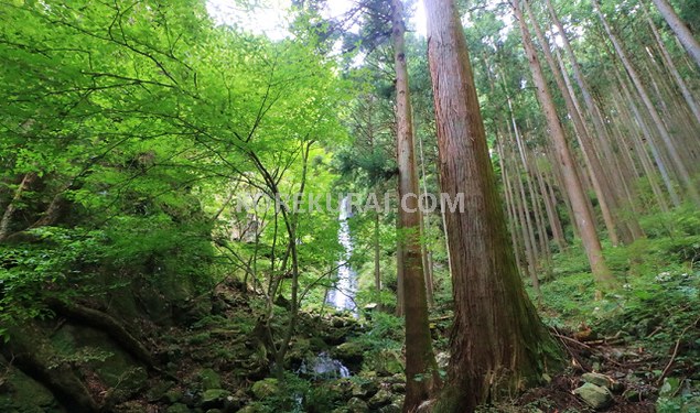 天狗滝から綾滝まで