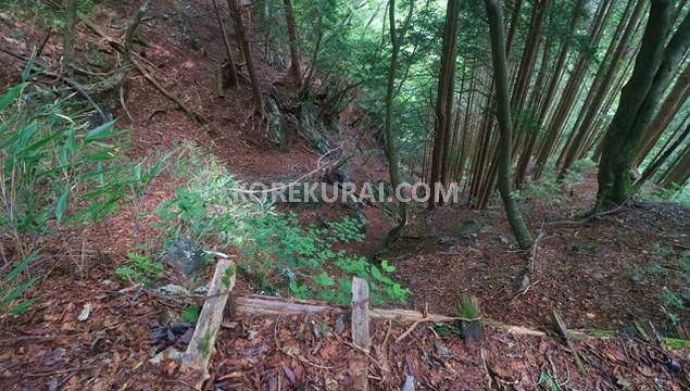 富士見台～大岳山