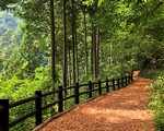 奥多摩 都民の森～三頭大滝～三頭山まで登山。コース難易度,駐車場とバスのアクセス。